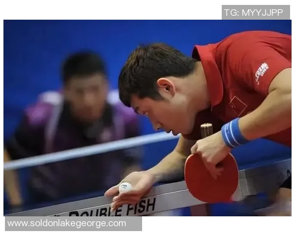 从零开始掌握乒乓球战术技巧全解析助你成为乒乓高手